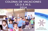 Colonia de Vacaciones - CE.D.E.M.S. 2014