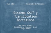 Galt y translocacion bacteriana