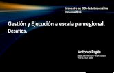 Gestión, Ejecución, y Eficiencia a Escala Panregional. Desafíos a Superar-Antonio Pages, DIRECTV