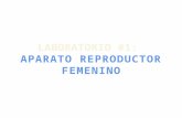 Primer práctico de embriología   2017