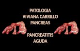 Pancreatitis patologia