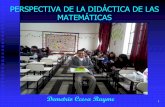 Perspectiva de la Didáctica de las Matemáticas  M2  ccesa007