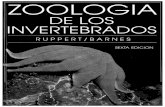 Zoología de los invertebrados   6ed (ruppert y barnes, 1996)