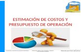 ESTIMACION DE COSTOS Y PRESUPUESTO DE OPERACION