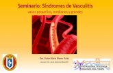 Seminario vasculitis 2015 -Síndromes de vasculitis de vasos pequeños, medianos y grandes