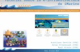 Vulnerable Marine Ecosystems DataBase (VME-DB): elaboración de hojas técnicas de una manera colaborativa, impartido por Aureliano Gentile.