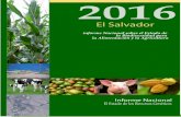 Primer informe Nacional de Biodiversidad para la Alimentación y Agricultura de El Salvador