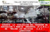 Molino Las  Delicias SAC Taller Informativo Participativo 220916