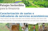 3. Presentación corta: Caracterización de suelos e indicadores de servicios ecosistémicos