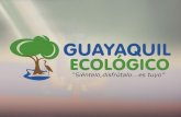 Enlace Ciudadano Nro. 243 - Avances Guayaquil ecológico