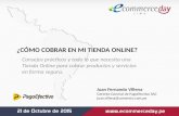 Presentación Juan Fernando Villena - eCommerce Day Lima 2015