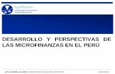 Desarrollo y Perspectivas de las Microfinanzas en el Peru