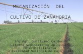 Mecanización en el Cultivo de Zanahorias. Sus primeros pasos. – Ing. Ernesto Gabriel (INTA La Consulta - Proyecto Zanahoria)