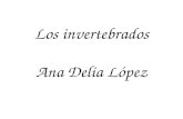 P.P.los invertebrados.Ana Delia López