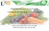 Principales cultivos hortícolas en colombia