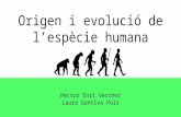 Origen i evolució de l'espècie humana