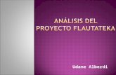 Análisis del proyecto flautateka