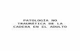 (2016 09-20)patologia no traumatica de la cadera del adulto(doc)