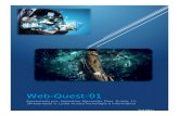 Web-quest 1