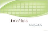 PAU Cantabria Anatomía célular