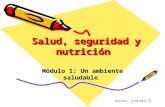 Presentación de salud, seguridad y nutrición