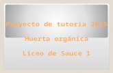 Sauce Proyecto Huerta Organica