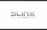 5LINX U.S. Spanish Opportunity Presentation (Jan. 2016)