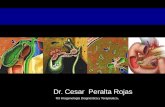 Patologia de la  vesicula  biliar y vias biliares hallazgos radiologicos