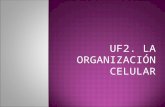 UF2: la organización celular