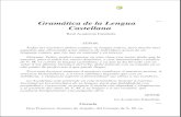 Real academia española   gramatica de la lengua castellana