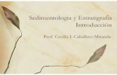 Sedimentologia y estratigrafia introduccion