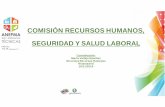 Comisión recursos humanos, Seguridad y salud laboral Anepma
