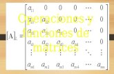 Operaciones y funciones de matrices
