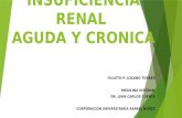 Insuficiencia renal aguda y cronica