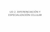 Ud 2. Diferenciación y especialización celular