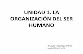 Tema 1. la organización del cuerpo humano
