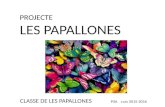 Projecte papallones 2015 16