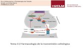 Tema 2.2 farmacología de la transmisión colinérgica