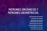 Patrones orgánicos-y-patrones-geométricos
