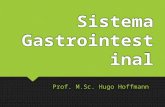 FISIOLOGIA - Sistema Gastrointestinal