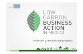 SPRI. Iniciativas de colaboración con Latinoamérica. Low Carbon Business Action (LCBA) in Mexico
