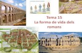 Tema 15 la forma de vida dels romans