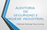 Auditorias en Seguridad e Higiene Industrial