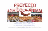 Proyecto gallinas ponedoras (postura) granja mamucha sep 2016 completo
