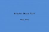 Brazos State Park