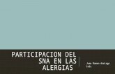 Participacion del SNA en las alergias
