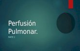 Perfusion Pulmonar