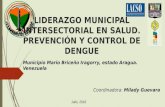 Liderazgo intersectorial en salud en el municipio Mario Briceño Iragorry del estado Aragua.