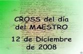 Cross 2008