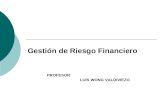 Gestion De Riesgo Financiero
